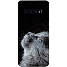 TPU чохол Demsky Cute cat для Samsung Galaxy S10