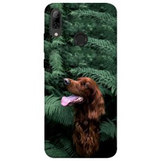TPU чохол Demsky Собака в зелени для Huawei P Smart (2019)