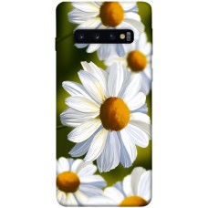 TPU чехол Demsky Ароматна ромашка для Samsung Galaxy S10