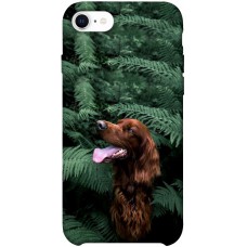 TPU чохол Demsky Собака в зелени для Apple iPhone SE (2020)