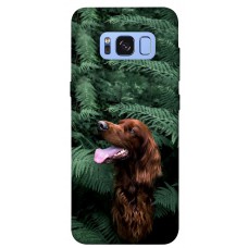 TPU чохол Demsky Собака в зелени для Samsung G950 Galaxy S8