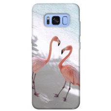 TPU чохол Demsky Flamingos для Samsung G950 Galaxy S8