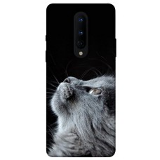 TPU чохол Demsky Cute cat для OnePlus 8