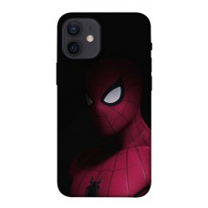 TPU чохол Demsky Comics style Человек паук 2 для Apple iPhone 12 mini (5.4")