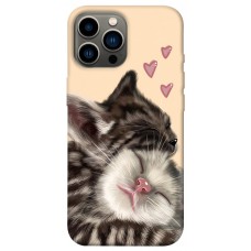 TPU чохол Demsky Cats love для Apple iPhone 12 Pro Max (6.7")