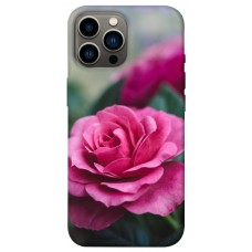 TPU чохол Demsky Роза в саду для Apple iPhone 12 Pro Max (6.7")