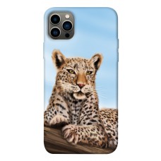 TPU чохол Demsky Proud leopard для Apple iPhone 12 Pro (6.1")