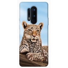 TPU чохол Demsky Proud leopard для OnePlus 8 Pro