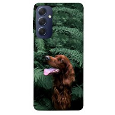 TPU чохол Demsky Собака в зелени для Samsung Galaxy M54 5G