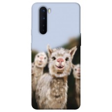 TPU чохол Demsky Funny llamas для OnePlus Nord