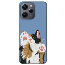 TPU чехол Demsky Funny cat для Xiaomi Redmi 12