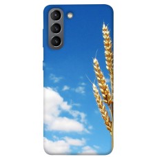 TPU чохол Demsky Пшеница для Samsung Galaxy S21