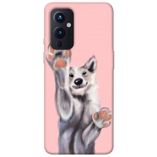 TPU чохол Demsky Cute dog для OnePlus 9