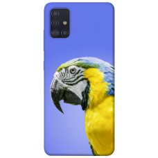 TPU чохол Demsky Попугай ара для Samsung Galaxy A51
