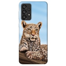 TPU чохол Demsky Proud leopard для Samsung Galaxy A33 5G