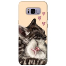 TPU чехол Demsky Cats love для Samsung G955 Galaxy S8 Plus