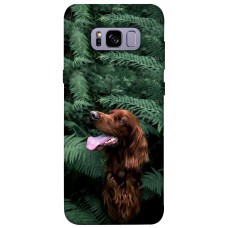 TPU чохол Demsky Собака в зелени для Samsung G955 Galaxy S8 Plus