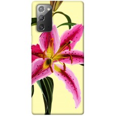 TPU чохол Demsky Lily flower для Samsung Galaxy Note 20