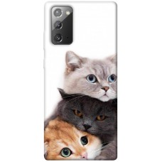 TPU чохол Demsky Три кота для Samsung Galaxy Note 20