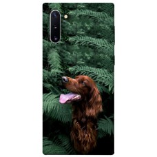 TPU чохол Demsky Собака в зелени для Samsung Galaxy Note 10