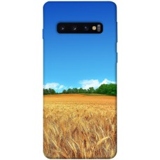 TPU чохол Demsky Пшеничное поле для Samsung Galaxy S10