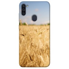 TPU чохол Demsky Поле пшеницы для Samsung Galaxy M11