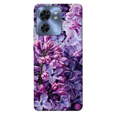 TPU чехол Demsky Violet blossoms для Motorola Edge 40