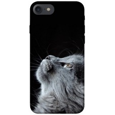 TPU чохол Demsky Cute cat для Apple iPhone 7 / 8 (4.7")