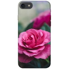 TPU чохол Demsky Роза в саду для Apple iPhone 7 / 8 (4.7")