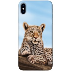 TPU чехол Demsky Proud leopard для Apple iPhone X (5.8")