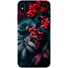 TPU чехол Demsky Red berry для Apple iPhone X (5.8")