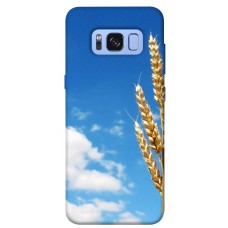 TPU чохол Demsky Пшеница для Samsung G950 Galaxy S8