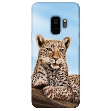 TPU чохол Demsky Proud leopard для Samsung Galaxy S9