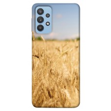 TPU чохол Demsky Поле пшеницы для Samsung Galaxy M32