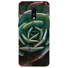 TPU чехол Demsky Эхеверия для OnePlus 7