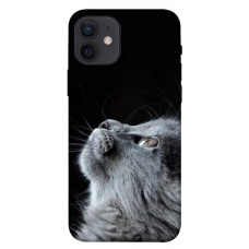 Термополіуретановий (TPU) чохол Cute cat для Apple iPhone 12 (6.1")