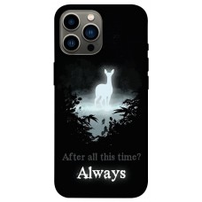 TPU чехол Demsky Magic time Гарри Поттер style 1 для Apple iPhone 12 Pro Max (6.7")