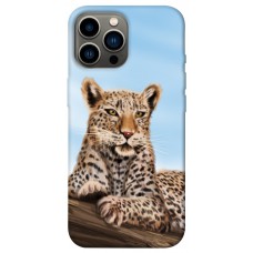 TPU чохол Demsky Proud leopard для Apple iPhone 12 Pro Max (6.7")