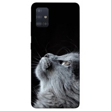 TPU чохол Demsky Cute cat для Samsung Galaxy M51