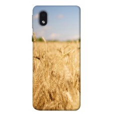 TPU чохол Demsky Поле пшеницы для Samsung Galaxy M01 Core / A01 Core