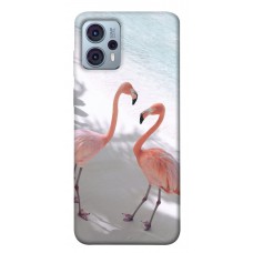 TPU чохол Demsky Flamingos для Motorola Moto G23