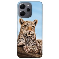 TPU чохол Demsky Proud leopard для Xiaomi Redmi 12