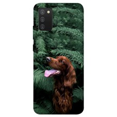 TPU чохол Demsky Собака в зелени для Samsung Galaxy A02s