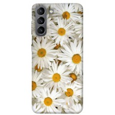 TPU чохол Demsky Chamomile для Samsung Galaxy S21