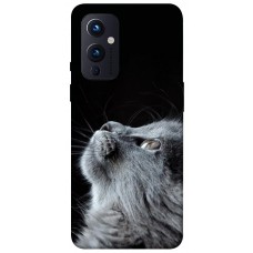 TPU чохол Demsky Cute cat для OnePlus 9