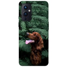 TPU чохол Demsky Собака в зелени для OnePlus 9