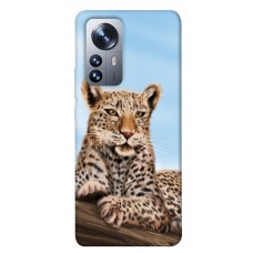 TPU чехол Demsky Proud leopard для Xiaomi 12 / 12X