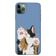 TPU чохол Demsky Funny cat для Apple iPhone 11 Pro Max (6.5")