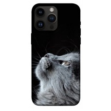 TPU чохол Demsky Cute cat для Apple iPhone 14 Pro Max (6.7")