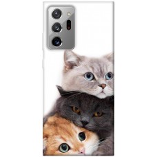 TPU чохол Demsky Три кота для Samsung Galaxy Note 20 Ultra